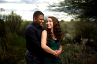 Engagement Session 30-Dec-16