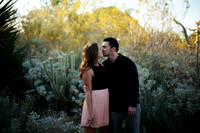Engagement Session 11/1/14